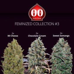 Feminized Colección 3 - 00 Seeds