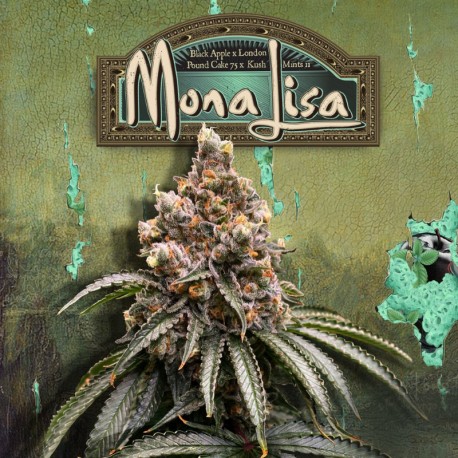 MONA LISA fem - TH Seeds