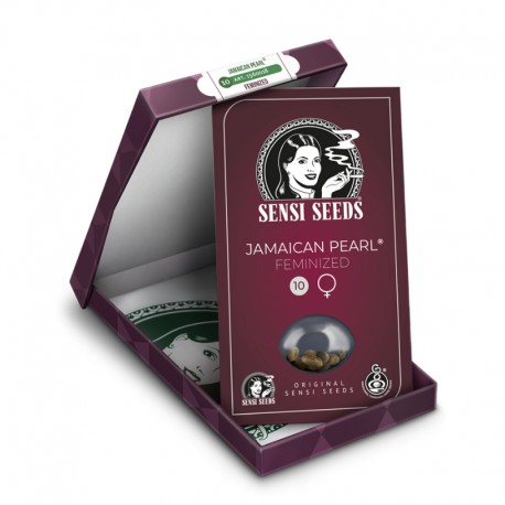 Jamaican Pearl fem - Sensi Seeds
