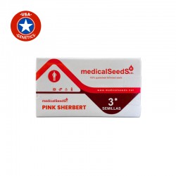 PINK SHERBERT fem - Medical Seeds