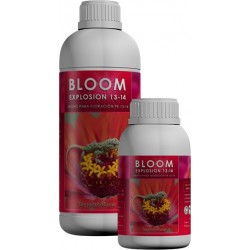Bloom Explosion PK 13 - 14 - Kaya Solutions