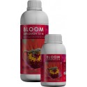 Bloom Explosion 13 - 14-abono floraci