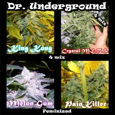 Killer Mix fem - Dr. Underground