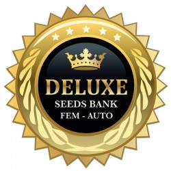 Suite Skunk fem - Deluxe Seeds