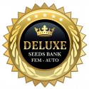 Suite Skunk fem - Deluxe Seeds