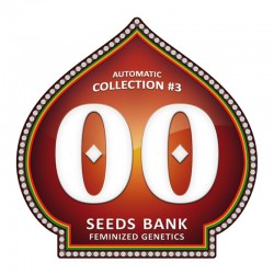 Automatik Colección 3 - 00 Seeds