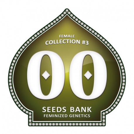 Femzed Colección 3 - 00 Seeds