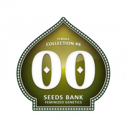 Feminized Colección 4 - 00 Seeds