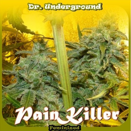 PainKiller fem - Dr. Underground
