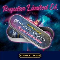 Hammer Cookies Reg - Advanced Seeds