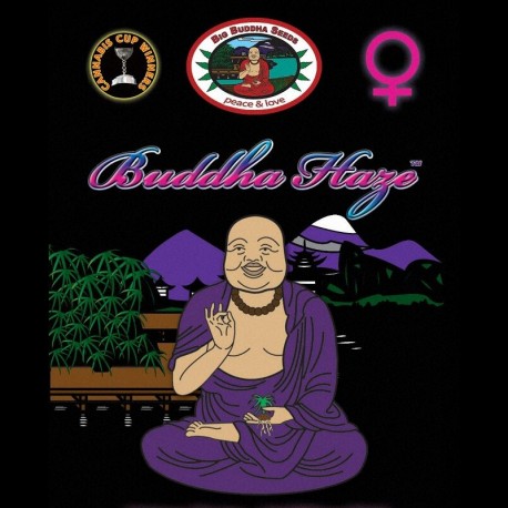 Buddha Haze fem - Big Buddha Seeds