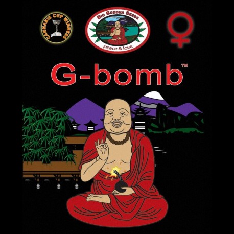 G-Bomb fem - Big Buddha Seeds