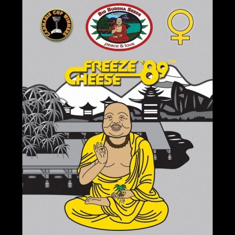 Freeze Cheese 89 fem - Big Buddha Seeds