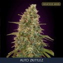 Auto ZKITTLEZ - Advanced Seeds