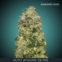 AFGHAN SKUNK auto - Advanced Seeds