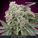 AMNESIA auto - Advanced Seeds