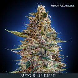 Auto BLUE DIESEL - Advanced Seeds