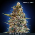 Auto BLUE DIESEL - Advanced Seeds