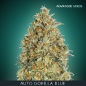 GORILLA BLUE auto - Advanced Seeds