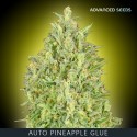 Auto PINEAPPLE GLUE - Advanced Seeds