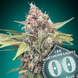 Northern Lights CBD - 00 Seeds