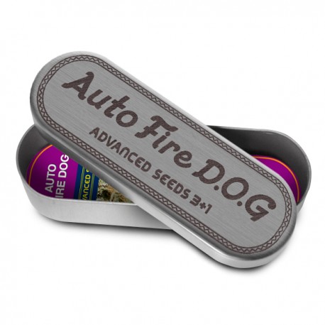FIRE DOG auto - Adavanced Seeds