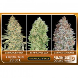 Feminized Collection 9 - Advanced Seeds