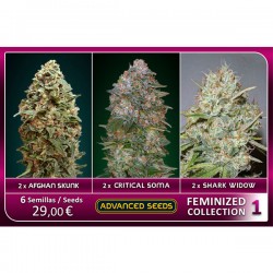 Femenized Collection 1 - Advanced Seeds