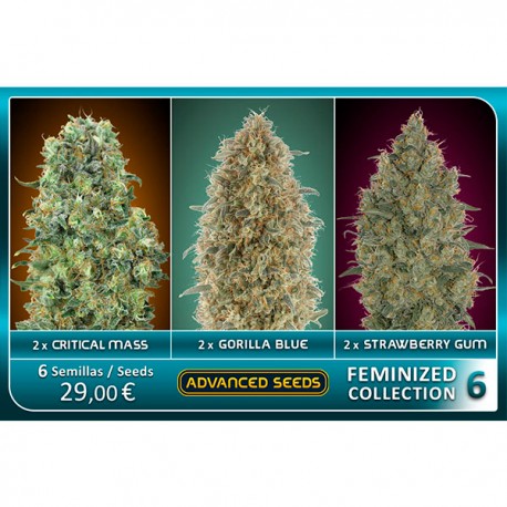 Feminized Collection 6 - Advanced Seeds