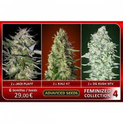 Femenized Collection 4 - Advanced Seeds