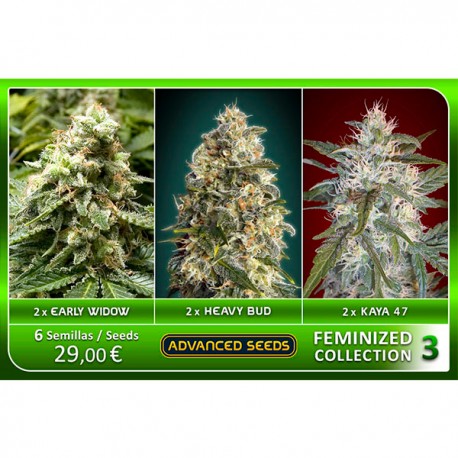 Femenized Collection 3 - Advanced Seeds