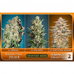 Femenized Collection 2 - Advanced Seeds