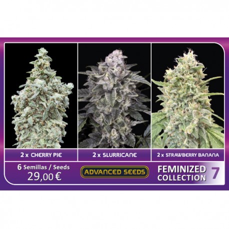 Collection Feminized 7 - Advanced Seeds