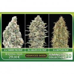 Feminized Collection 10 - Advanced Seeds