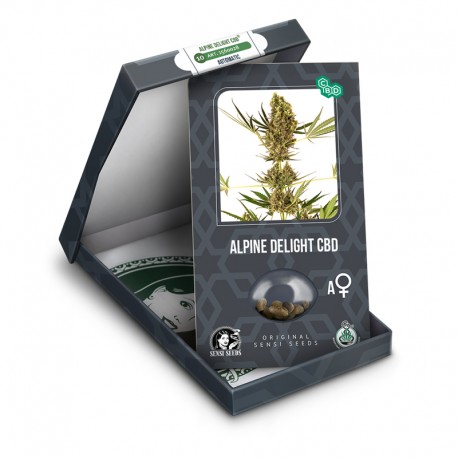 Alpine Delight CBD auto - Sensi Seeds