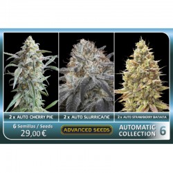 Auto Colección 6 - Advanced Seeds