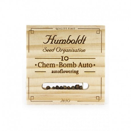 Chem-Bomb auto - Humboldt Seeds