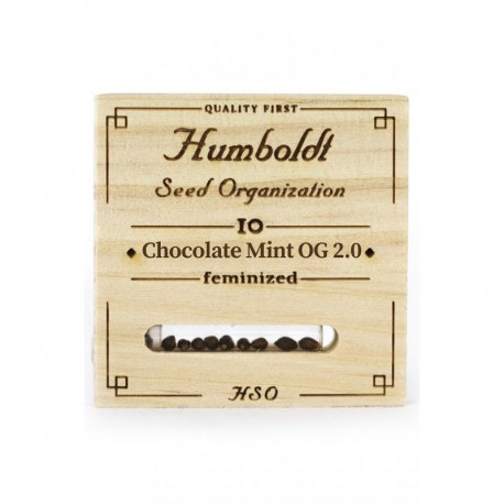 Chocolate Mint OG - Humboldt Seeds