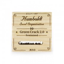Green Crack - Humboldt Seeds