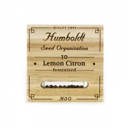 Lemon Citron fem - Humboldt Seeds