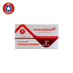 COOKIES SHERBET auto - Medical Seeds