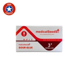 Sour Glue fem - Medical Seeds