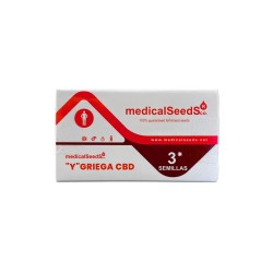 Y GRIEGA CBD fem - Medical Seeds