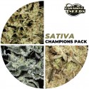 Pack Colección Sativa Campeonas - Paradise Seeds