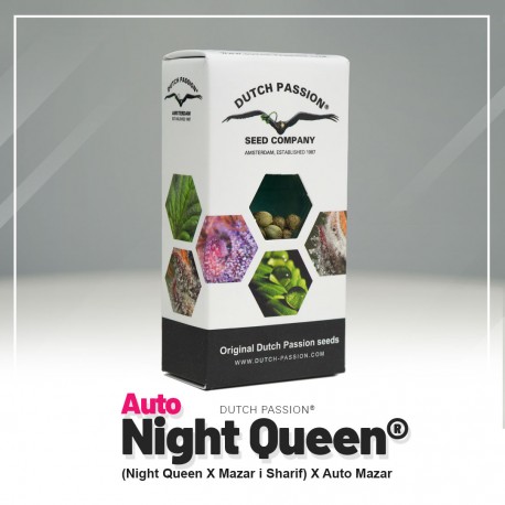 Night Queen auto - Dutch Passion