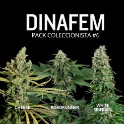 Pack 6 Dinafem - renewal stock