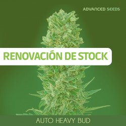 Auto HEAVY BUD - Advanced Seeds - Renovación de Stock