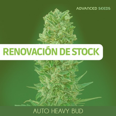 Auto HEAVY BUD - Advanced Seeds - Stock Renewal